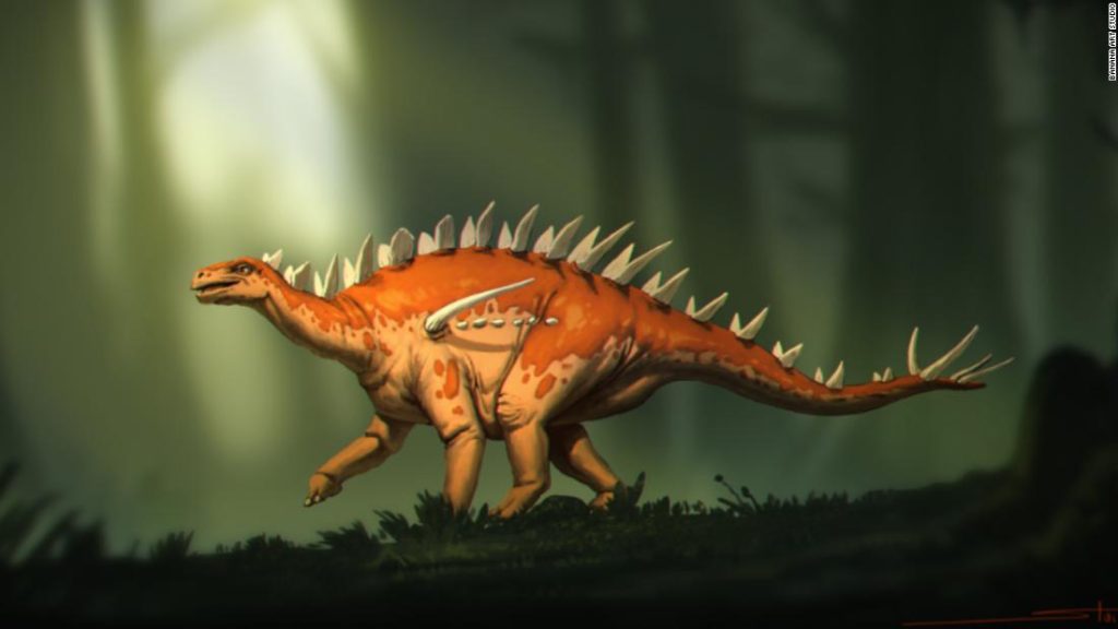 Обнаруженные окаменелости стегозавра имеют «странное сочетание черт»