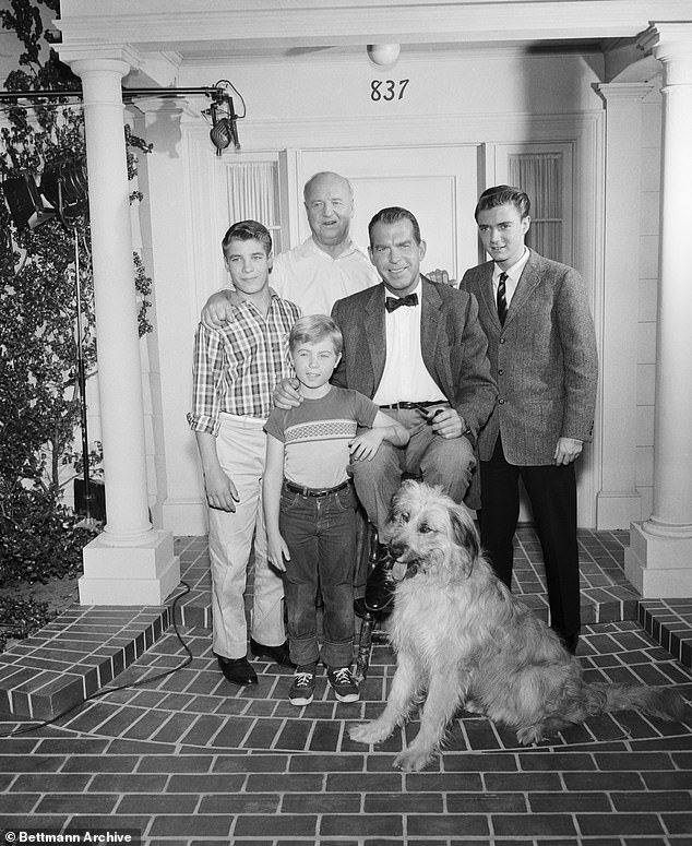 Вспышка: после успеха с Диснеем в 1950-х Консидайн снимался в «Моих трех сыновьях» с 196 по 1965 год, хотя шоу продолжалось до 1972 года;  На фото справа с Доном Грэди, Стэнли Ливингстоном, Уильямом Фроули и Фредом МакМюрреем.