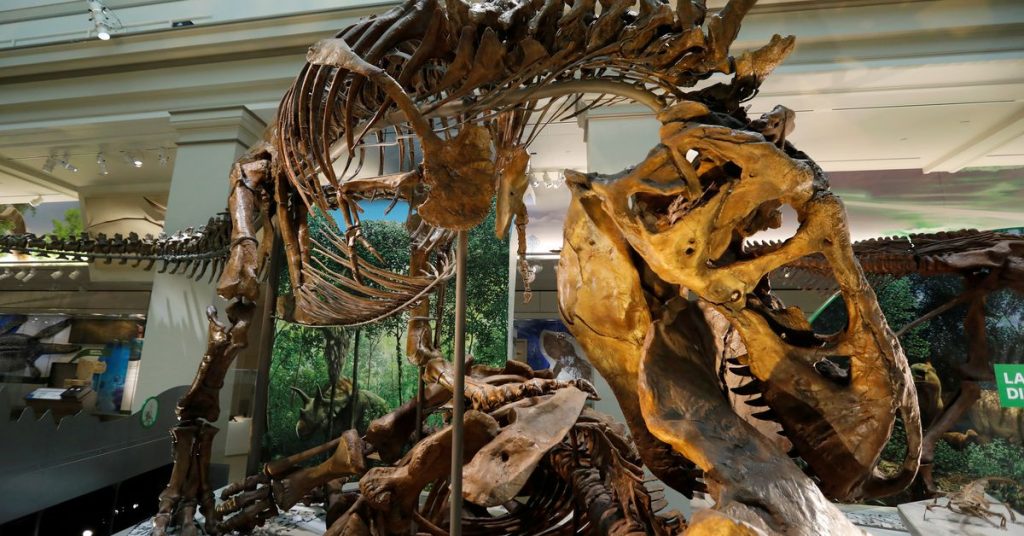 Ученые предполагают, что у тираннозавра было три вида, а не только «Рекс».