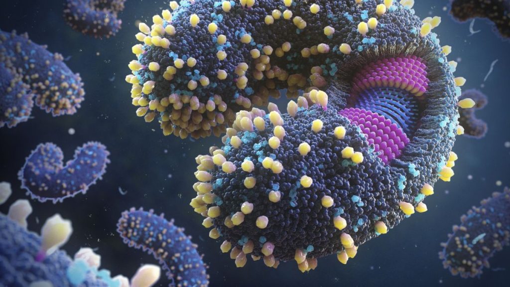Тысячи новых вирусов обнаружены в Мировом океане