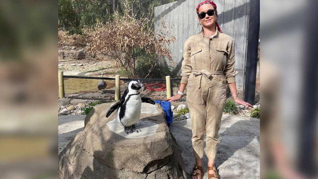 Жительница Нью-Кентукки Кэти Перри тусуется в зоопарке Луисвилля.