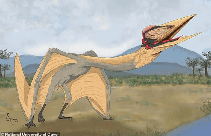Палеонтологи в Аргентине обнаружили окаменелости нового типа птерозавров под названием «птерозавр».  дракон смерти "