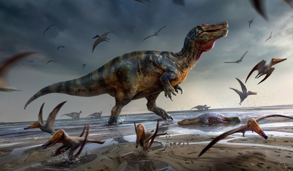 На острове Уайт обнаружен самый крупный хищный динозавр в Европе.