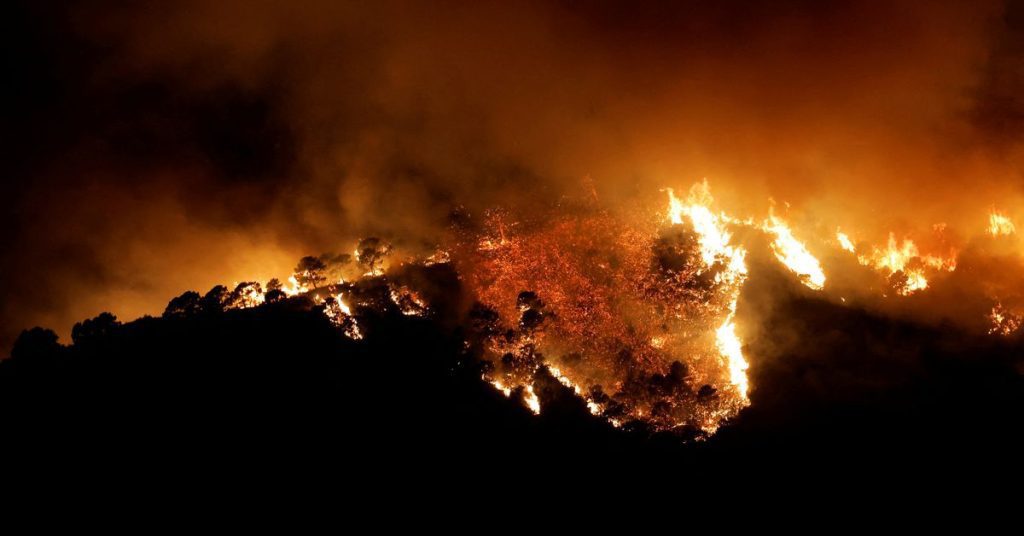 Лесные пожары на юге Испании вынуждают город эвакуироваться;  Три больно