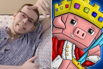 YouTube-блогер Minecraft исчез через год после того, как у него диагностировали рак