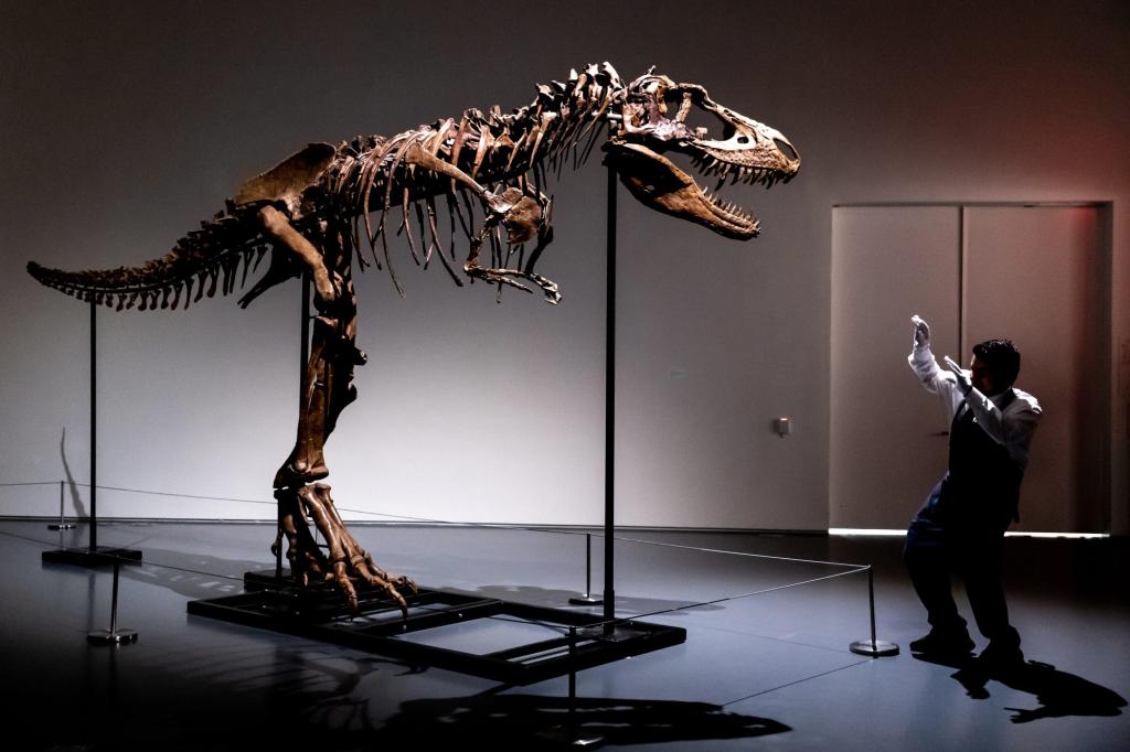 Скелет горгозавра возрастом 76 миллионов лет выставлен на аукцион