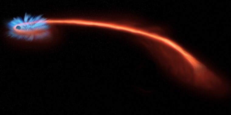 Поляризованный свет раскрывает окончательную судьбу звезды, спагетированной черной дырой