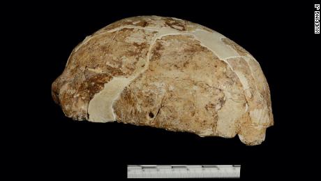На снимке череп, обнаруженный в пещере Красного оленя в провинции Юньнань, Китай. 