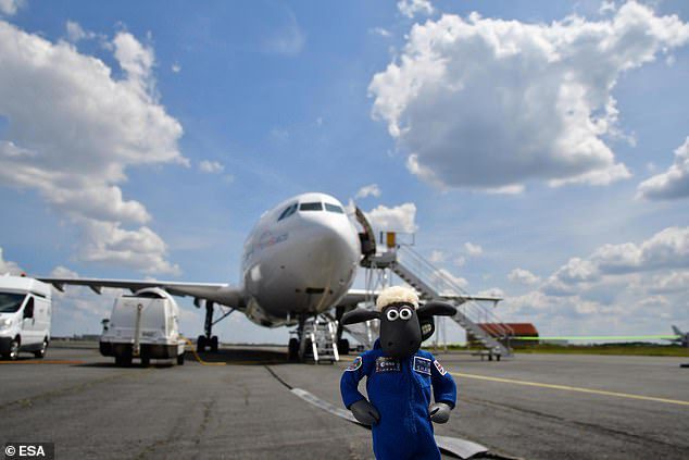 Барашек Шон также совершил полет на борту Airbus Zero G 'A310 во время одного из его эквивалентных полетов, который воссоздает условия «невесомости» для тех, кто имеет опыт полета в космосе.