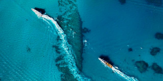 Флот Allen Exploration появляется в водах Багамских островов.