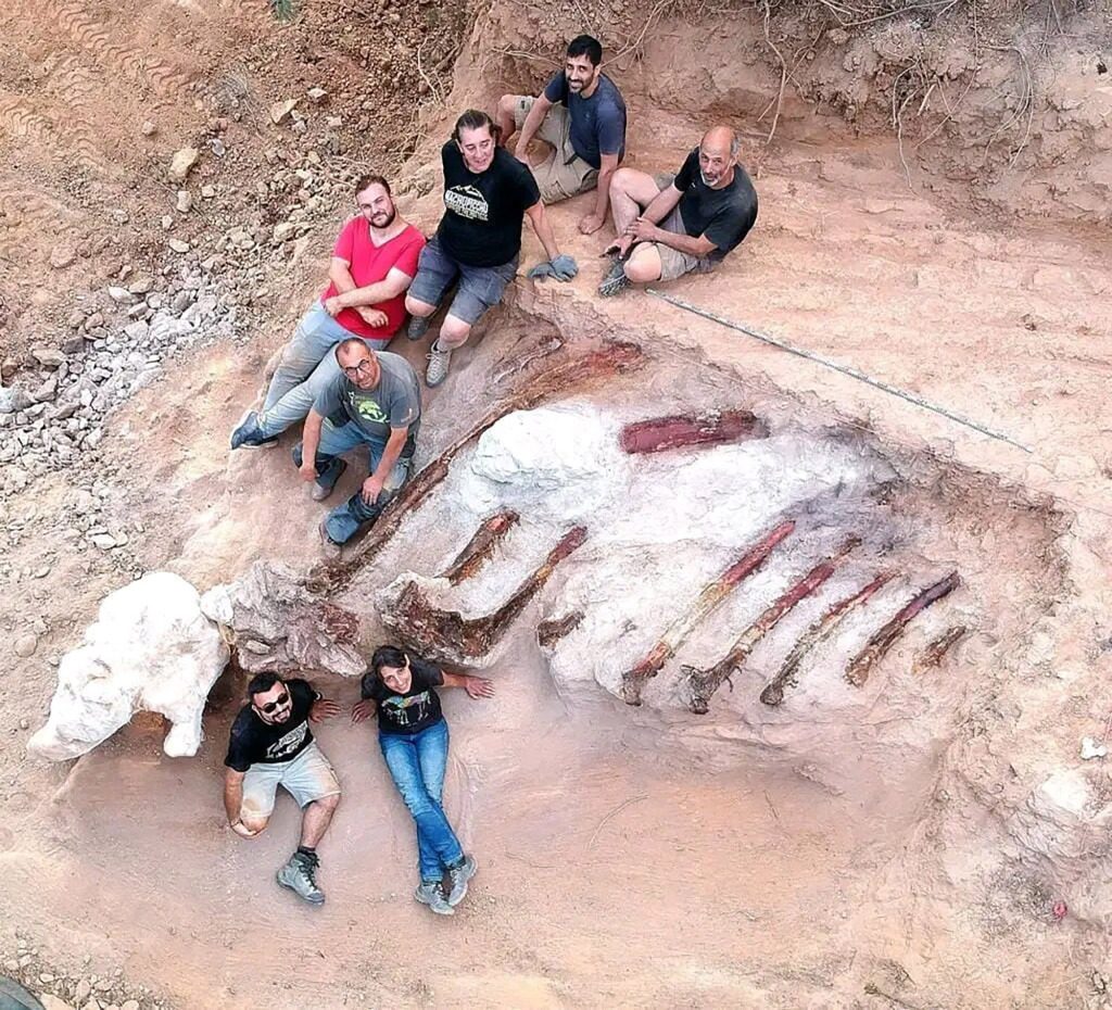 В августе палеонтологи собрали ребра длиной 10 футов.  