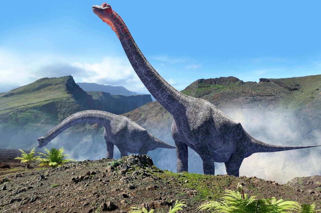 Скелет, вероятно, принадлежал динозавру-зауроподу, который бродил по территории современной Португалии 160-100 миллионов лет назад. 