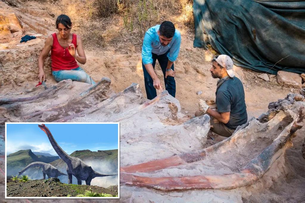 Скелет динозавра высотой 82 фута был найден на заднем дворе мужчины в Португалии.