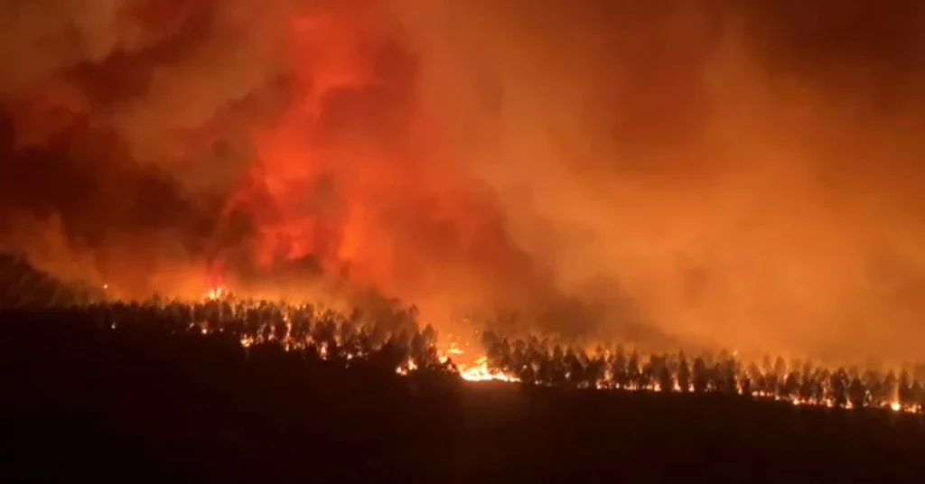 Во Франции вспыхнули лесные пожары, тысячи людей были эвакуированы из своих домов